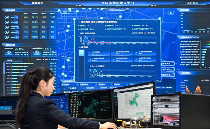 网站构建:从初学者到高手